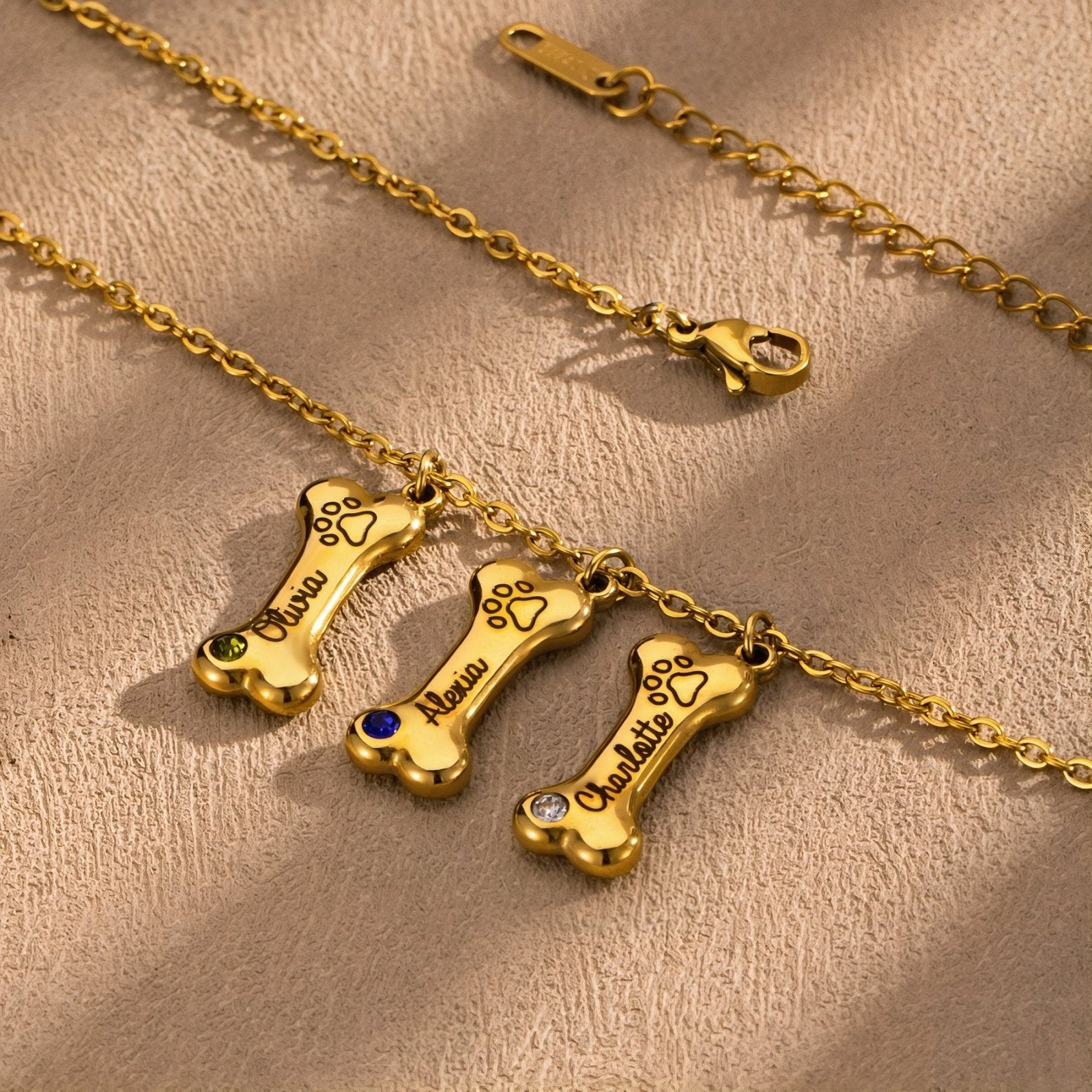 Collier personnalisable en forme d'os, en acier inoxydable, pour amoureux des chiens, modèle Paws