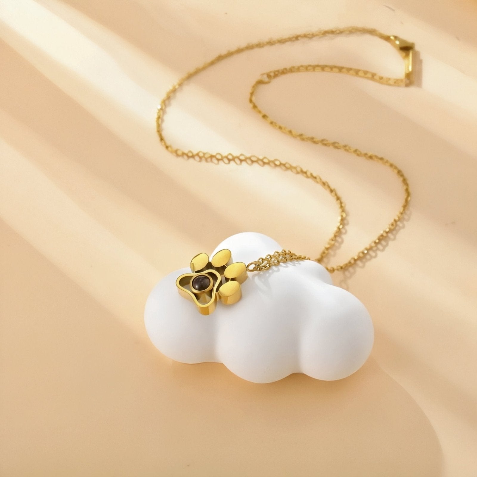 Collier photo animal de compagnie, pendentif en forme de patte, acier inoxydable, modèle Puppy
