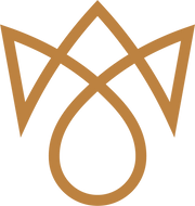 The Necklace Shop: Official Store logo