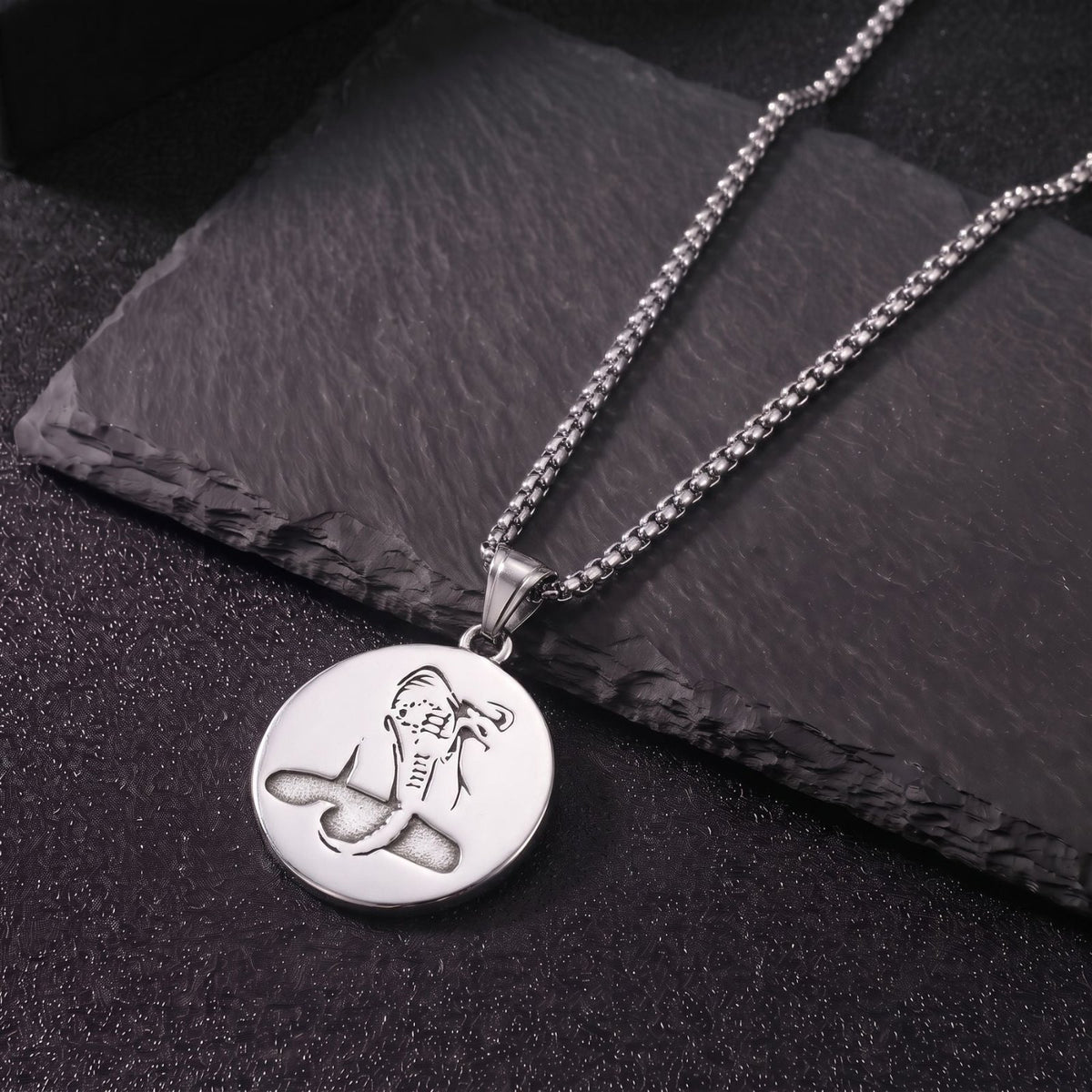 Collier cobra pour homme, en acier titane, pendentif circulaire au style oriental