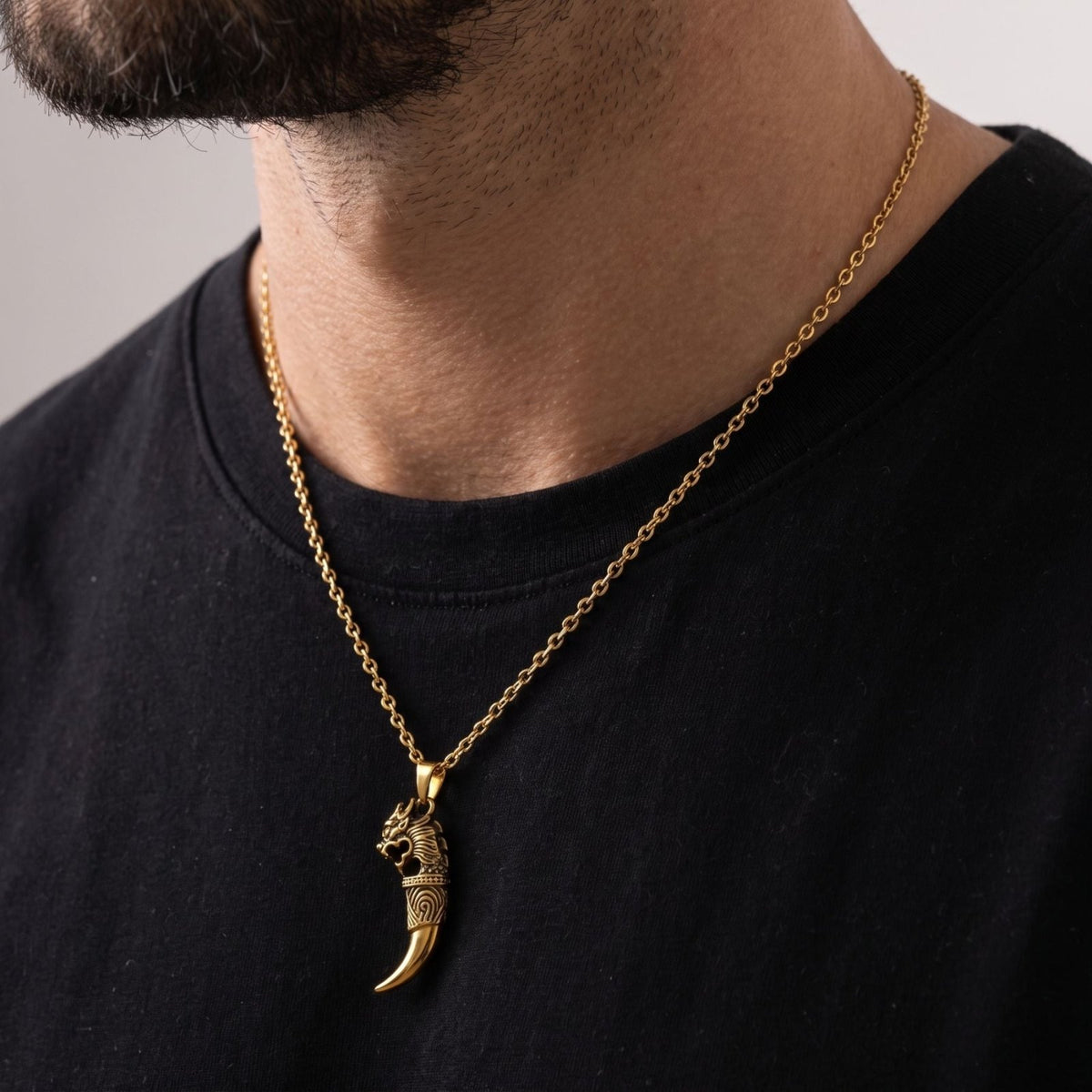 Collier griffe de dragon pour homme, en acier inoxydable, pendentif croc sculpté au style viking