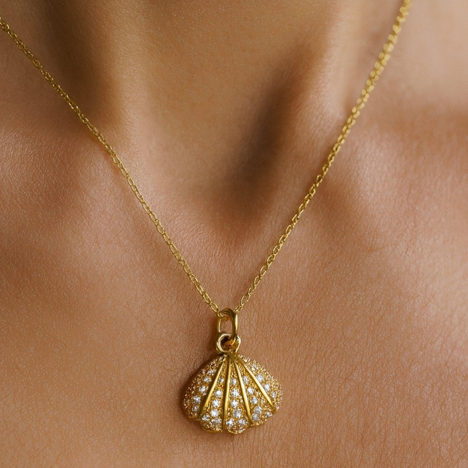 Collier marin pour femme, pendentif coquillage et perle, en acier inoxydable serti zircon