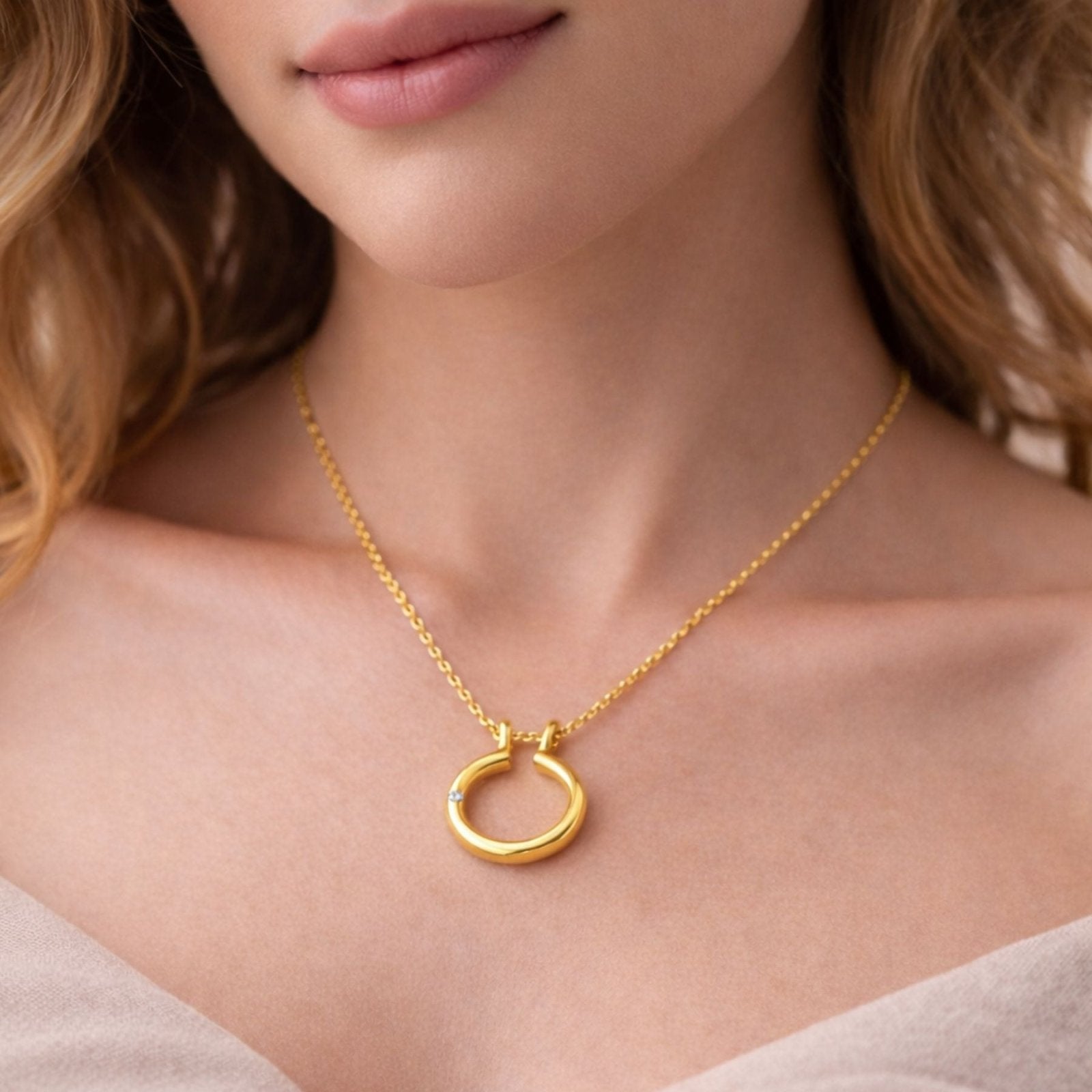 Collier porte bague pour femme, avec pendentif anneau circulaire et zircon, en acier inoxydable